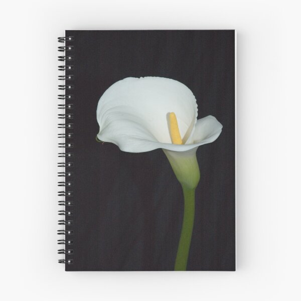 Item preview, lily on black designed and sold by jon  daly.