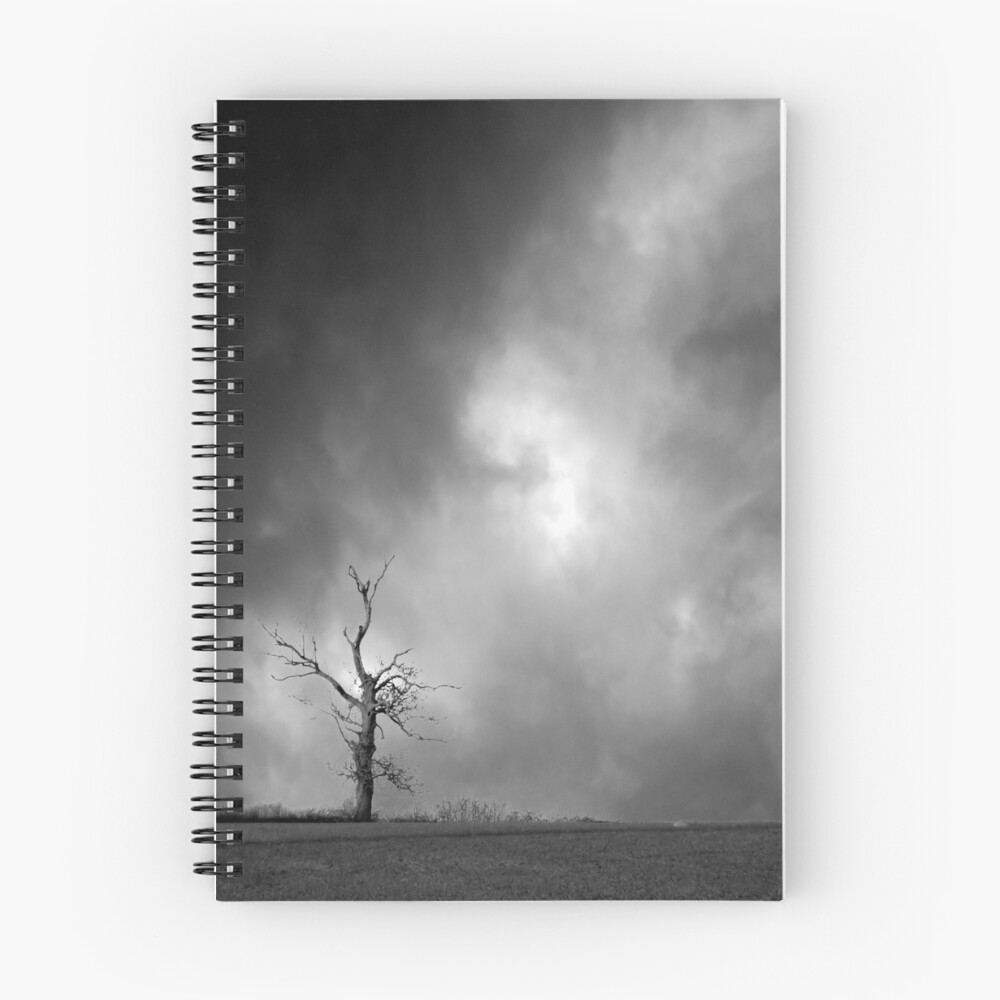 Item preview, Spiral Notebook designed and sold by richard49.