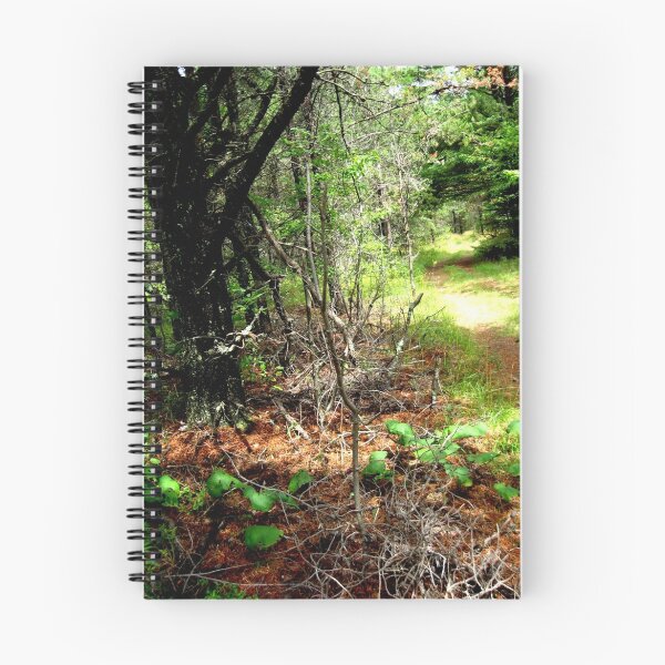 Item preview, Mystic Pines designed and sold by Tonee Christo.
