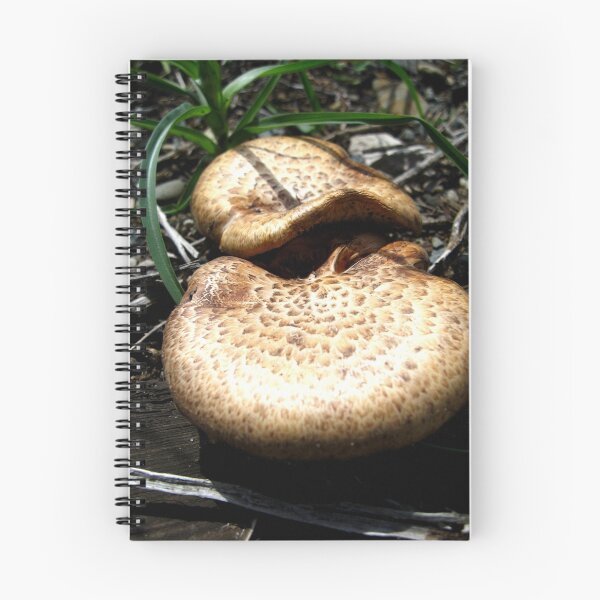 Item preview, Mushroom Tongues designed and sold by Tonee Christo.