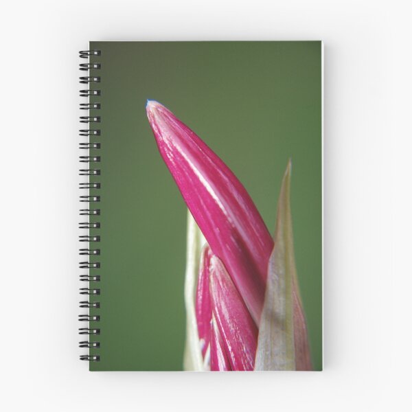 Item preview, lily bud designed and sold by jon  daly.
