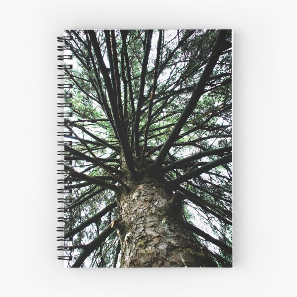 Item preview, my pine tree designed and sold by lisabella.