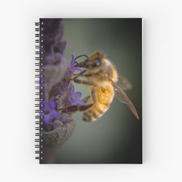 Item preview, Buzzy Bee designed and sold by David Petranker.