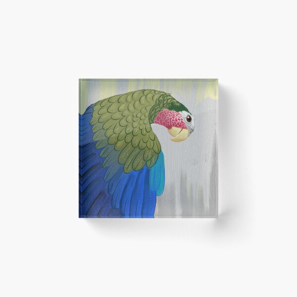 Item preview, Cuban amazon parrot II (Amazona leucocephala) designed and sold by Guro Tolo.
