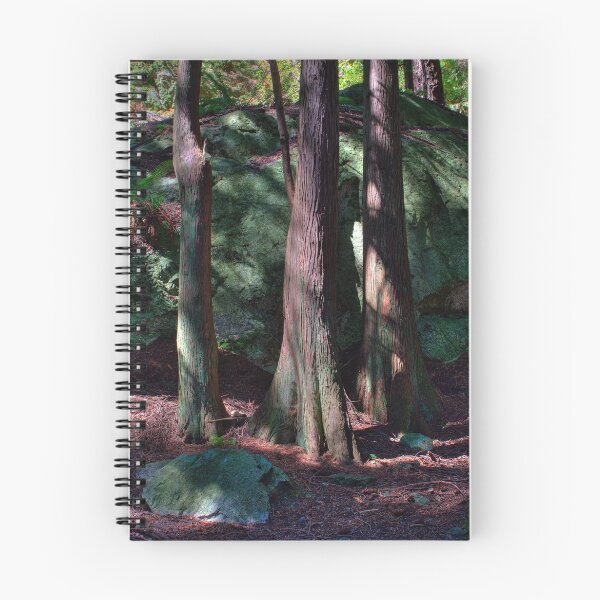 Item preview, Trees at Lighthouse Park Vancouver designed and sold by EvaMcDermott.