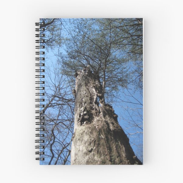 Artikelvorschau, tall trees in Georgia entworfen und verkauft von Laurkat.
