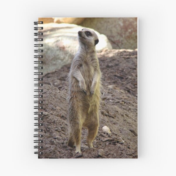 Item preview, Meerkat - Perth Zoo W.A. designed and sold by Rainbow Farm Photography.