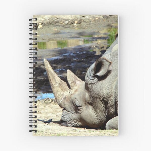 Item preview, Rhino & Friend - Perth Zoo W.A. designed and sold by Rainbow Farm Photography.