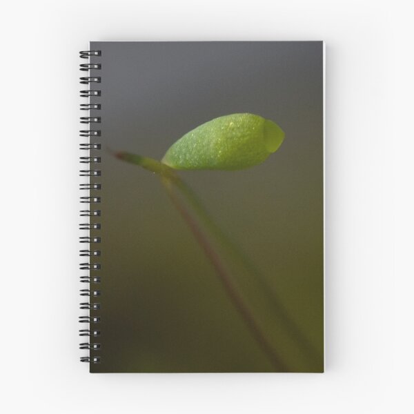 Item preview, Primordial 4 designed and sold by Steve  Woodman.