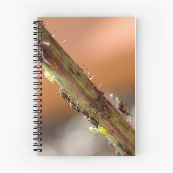 Item preview, Commuting aphids designed and sold by Steve  Woodman.
