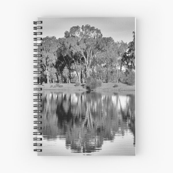 Artikelvorschau, Black and White Reflections entworfen und verkauft von Nathan  Johnson.