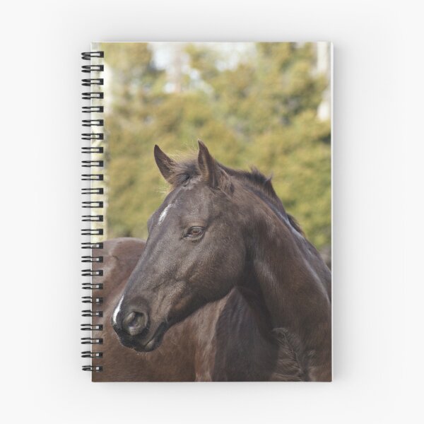 Item preview, Million Dollar Baby designed and sold by Samantha Dean.