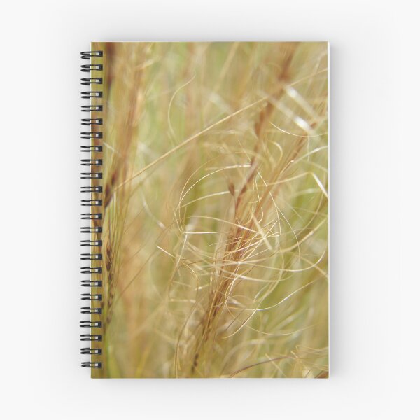 Artikelvorschau, Whispering Grass entworfen und verkauft von pat oubridge.