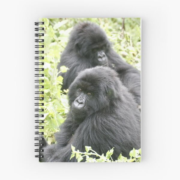 Item preview, Mountain Gorillas II designed and sold by Steve Bulford.