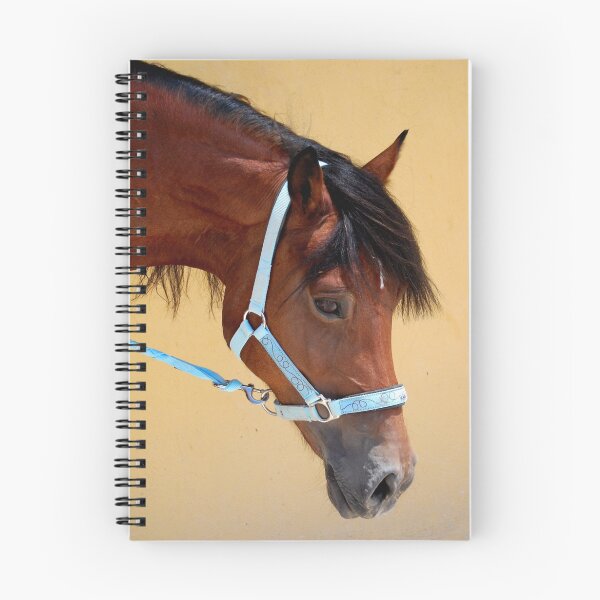 Item preview, Am I just the prettiest mare? designed and sold by Squealia.