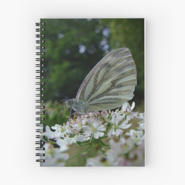 Item preview, Wings of Silk designed and sold by Paul Gibbons.