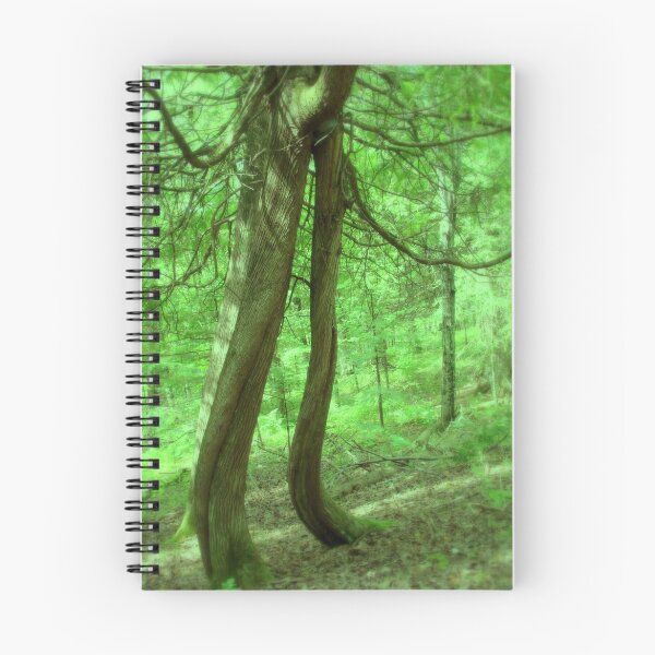 Artikelvorschau, Music Amongst the Trees entworfen und verkauft von Tate6.
