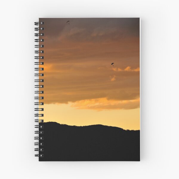 Aperçu de l'œuvre Dusk parachutes créée et vendue par Stephen Balson.