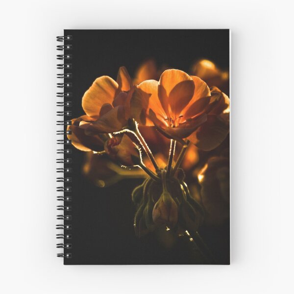 Item preview, Golden light designed and sold by Rose Atkinson.