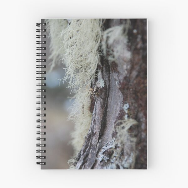 Item preview, Moss on Snow Gum designed and sold by sarahncraig.
