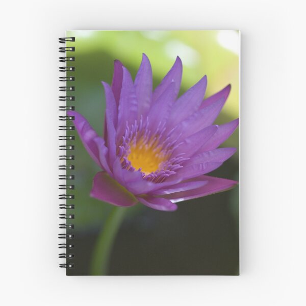 Item preview, Water Lilly designed and sold by Jimson Carr.