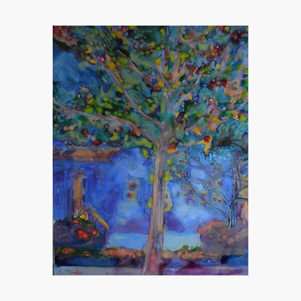 Feeling Blue Photographic Print