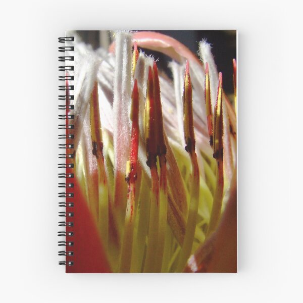 Item preview, King Protea Macro designed and sold by HippyDi.