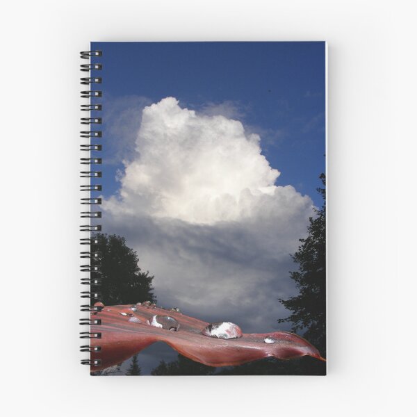 Item preview, Passing Storm 86 designed and sold by Andy2302.