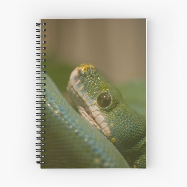 Item preview, green tree snake designed and sold by jude walton.