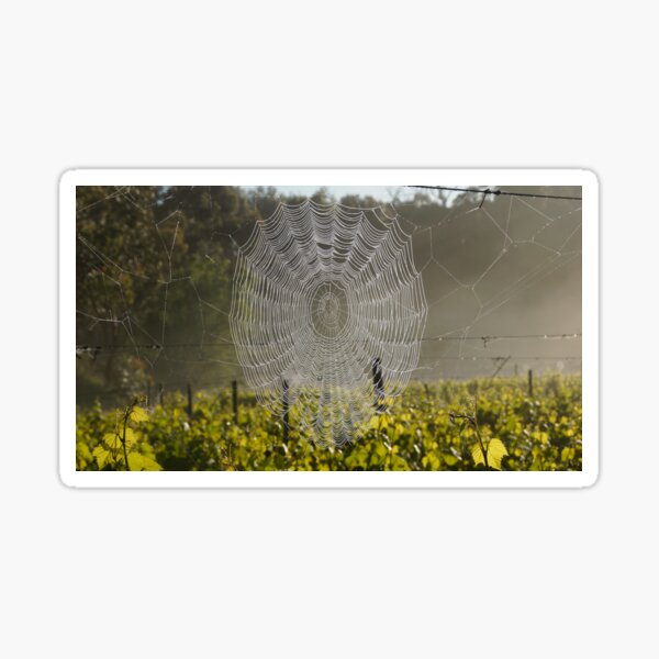 Item preview, On the Web - Magpie Springs - Adelaide Hills Wine Region - Fleurieu Peninsula - South Australia designed and sold by MagpieSprings.