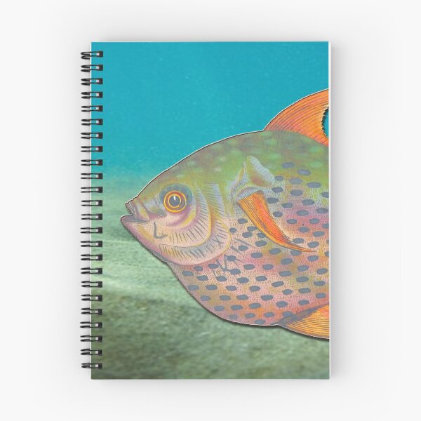 Item preview, Hand coloured sketch vintage tropical fish designed and sold by Epic Splash Creations.