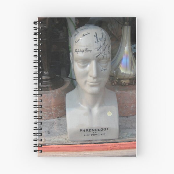 Item preview, shopwindow phrenology designed and sold by Laurkat.