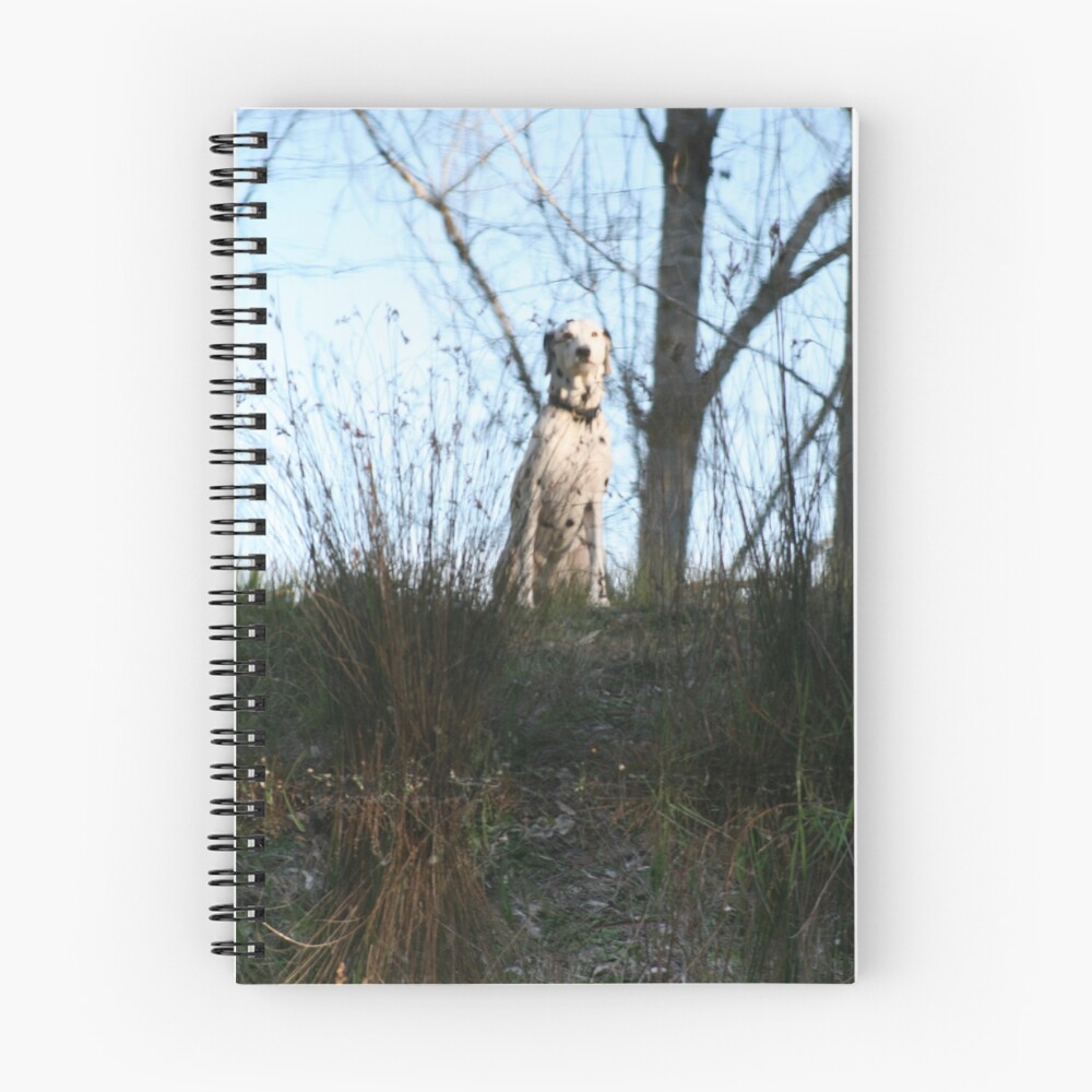 Item preview, Spiral Notebook designed and sold by Denzil.