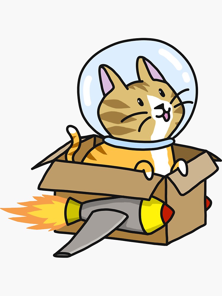 cat rocket shirt