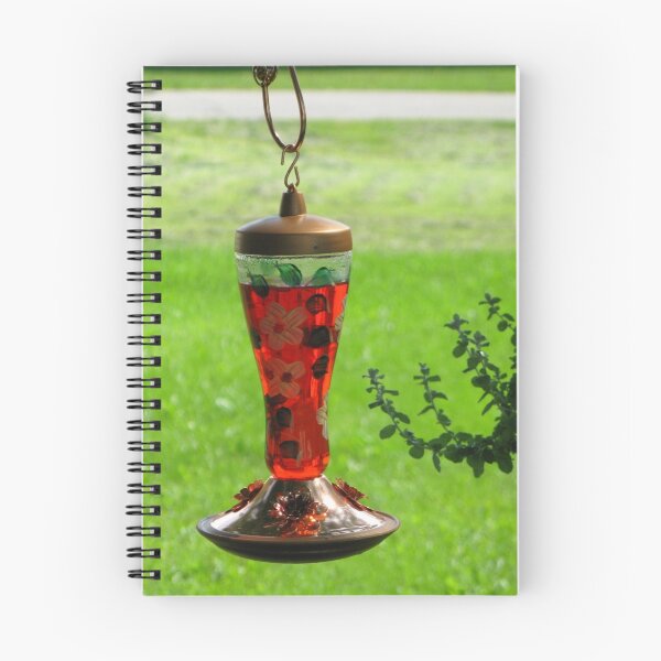 Item preview, Hummingbird Feeder designed and sold by kenspics.