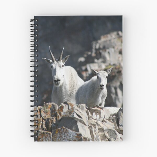 Item preview, Mountain Goat Duo designed and sold by wolfq.