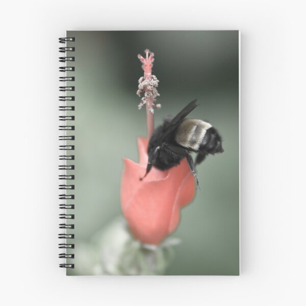 Item preview, The Sweet Spot designed and sold by Charles Dobbs Photography.