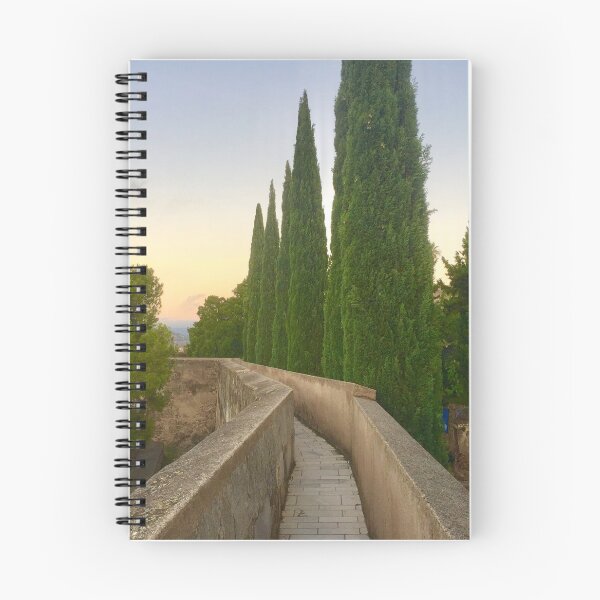 Item preview, Castillo designed and sold by MaxPak.