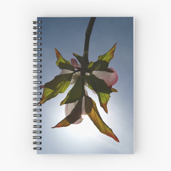 Item preview, Dogwood designed and sold by AcePhotography.
