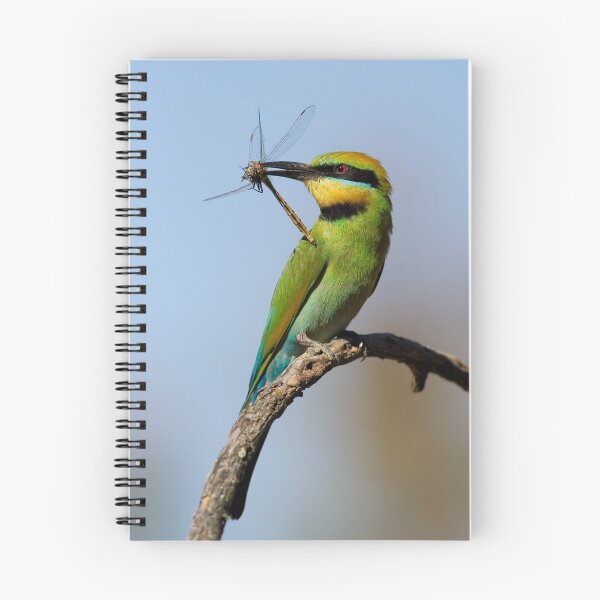 Item preview, Rainbow Bee Eater with Dragonfly designed and sold by Wayne Eddy Photography.