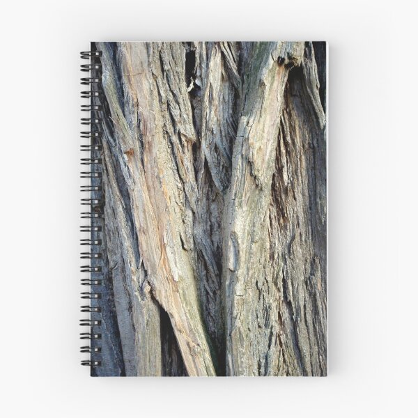 Aperçu de l'œuvre Tree bark créée et vendue par Jocelyne Phillips.