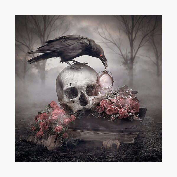 18 Skull With Roses Wallpapers  WallpaperSafari