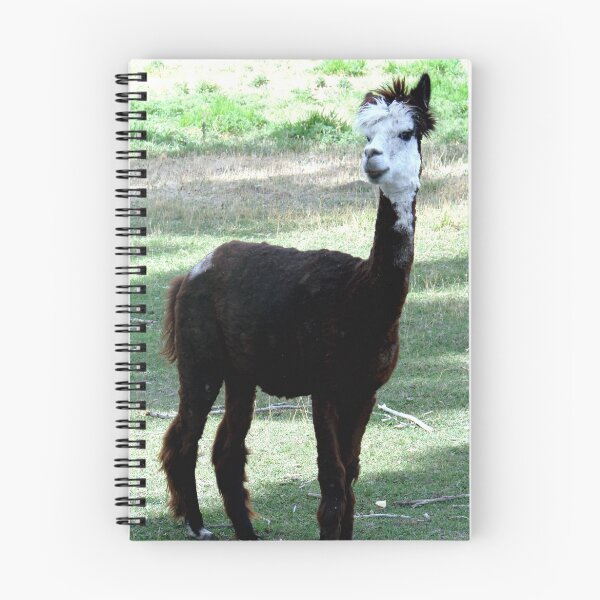 Item preview, Dolly Llama designed and sold by tkrosevear.