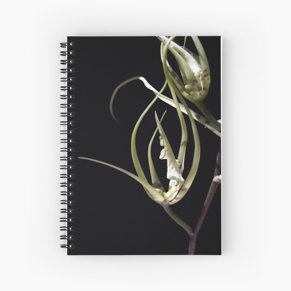 Item preview, Spiral Notebook designed and sold by kirky101.