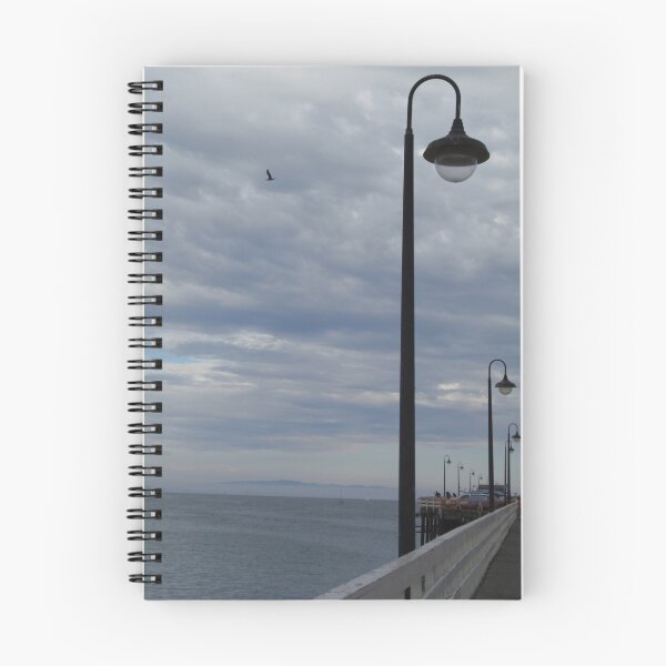 Item preview, flying designed and sold by photos by rae.