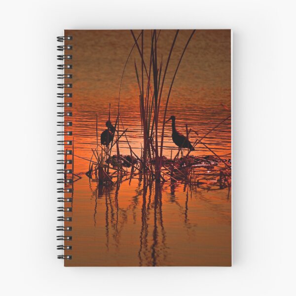 Item preview, Herdsman Lake. Perth. designed and sold by Claire  Farley.