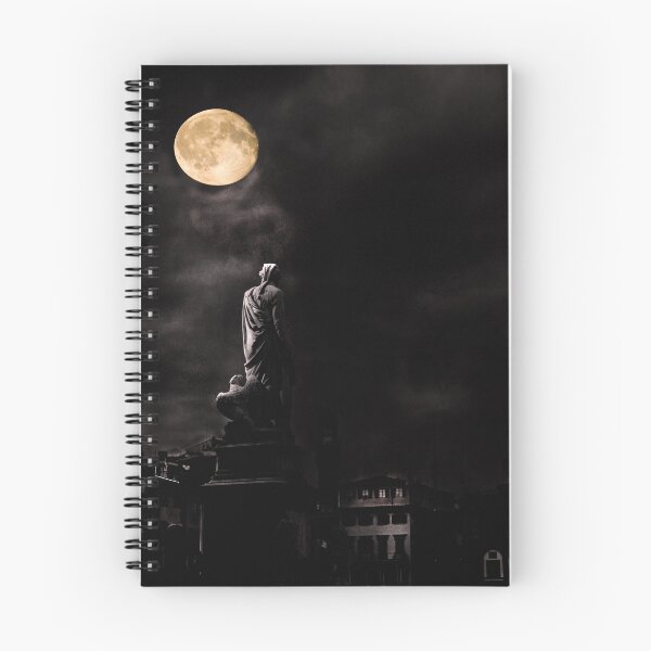 Aperçu de l'œuvre Veille de nuit créée et vendue par pault55.