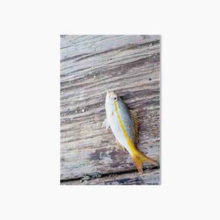 Caught Art Board Print