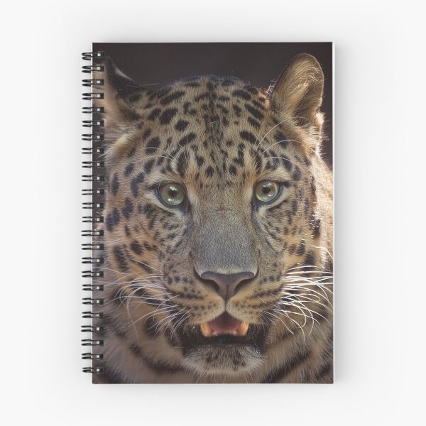 Item preview, Fierce designed and sold by Cheri  McEachin.