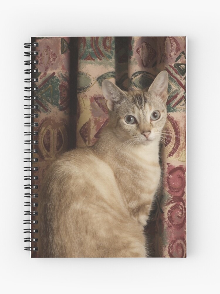 Thumbnail 1 of 3, Journal, Myst designed and sold by theoddshot.
